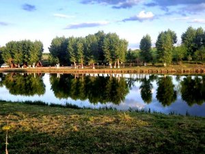 Туристическая база "Любимая усадьба"